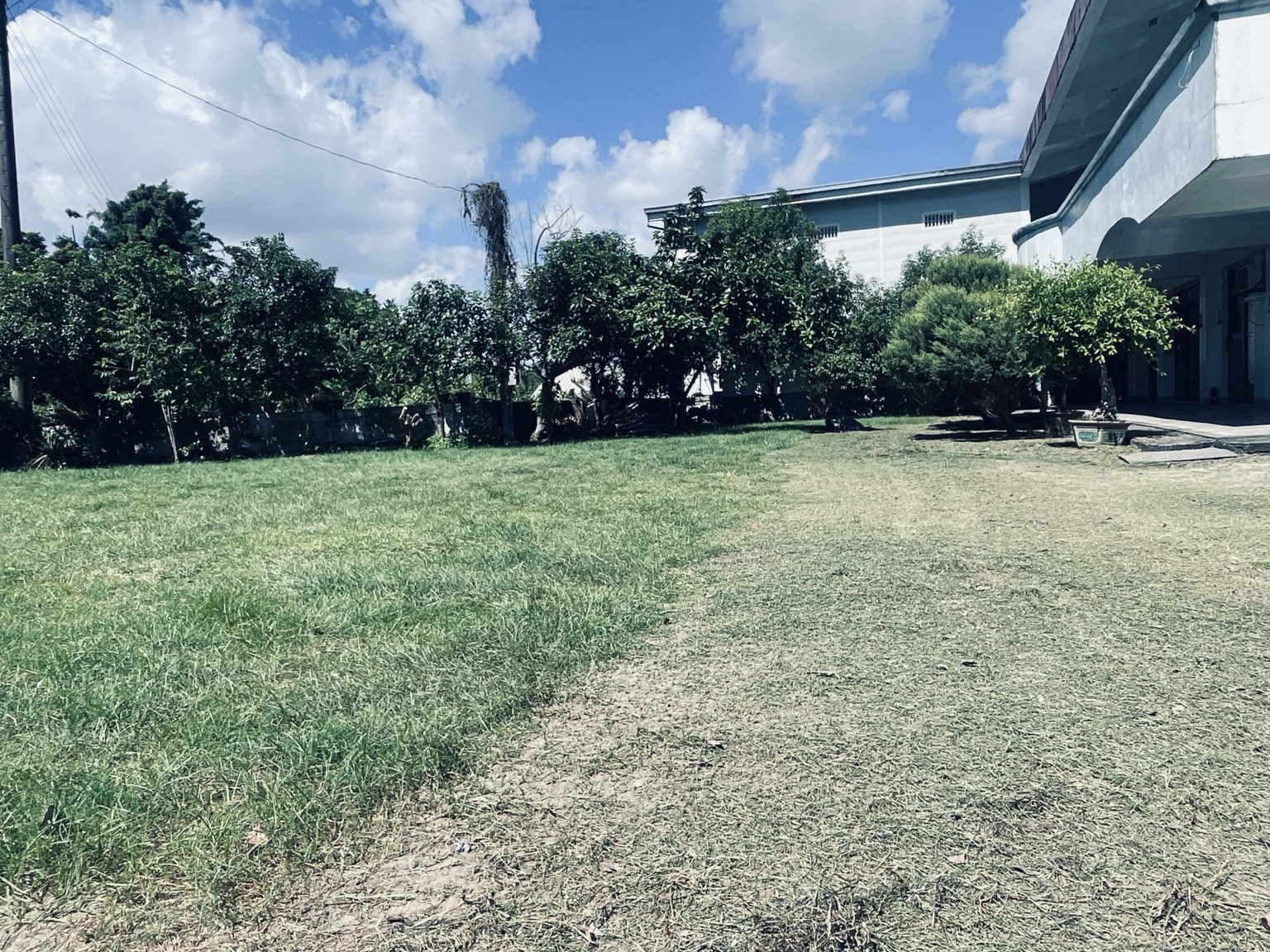 佛堂戶外草坪與庭院，草地可見修整的痕跡